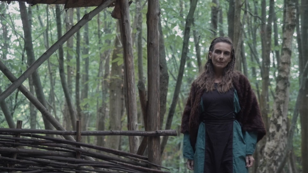 Vikings: Blood Lust izle